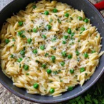 Garlic Parmesan Orzo Pasta Recipe