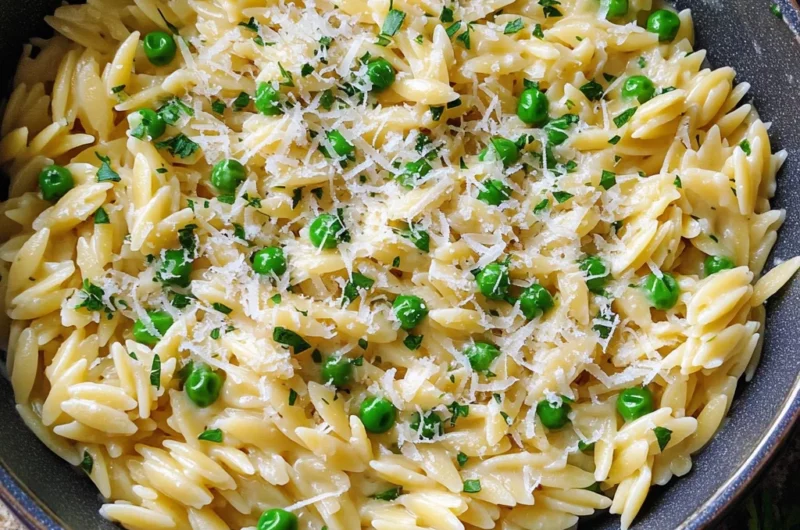 Garlic Parmesan Orzo Pasta Recipe