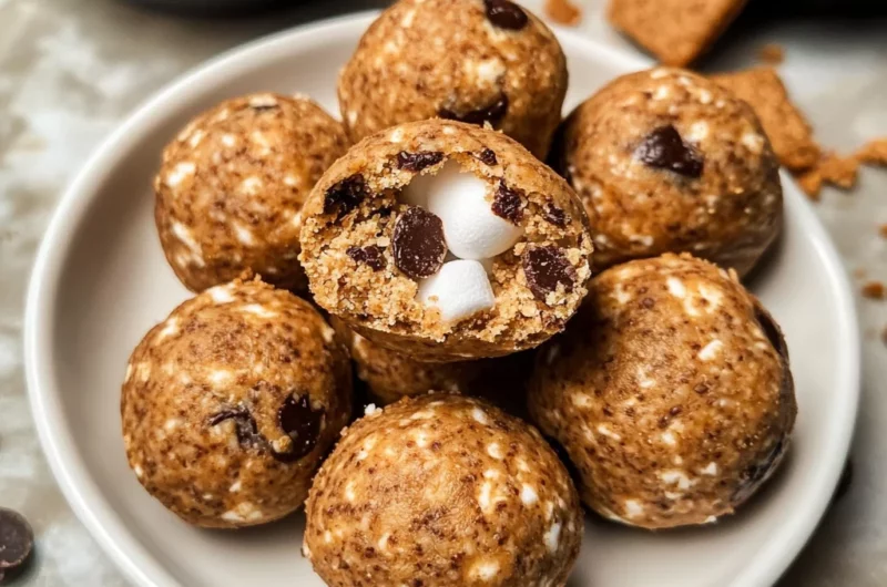 S'mores No Bake Protein Bites