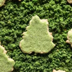 Edible Moss Recipe