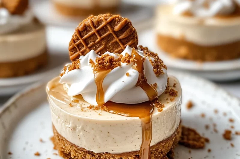 No Bake Mini Biscoff Cheesecakes